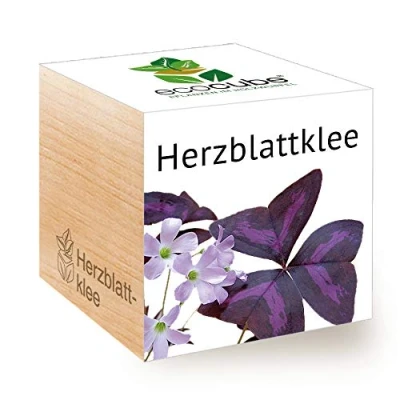 Afbeelding van Feel Green 296442 Ecocube Klae/Love Plant, duurzaam cadeau idee (100% milieuvriendelijk), groeien je eigen/kweekset, planten in houten kubus, Made Oostenrijk
