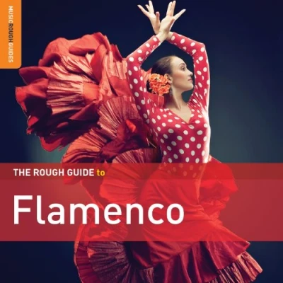 Afbeelding van Various Artists The Rough Guide To Flamenco 3rd edition (2 CD)