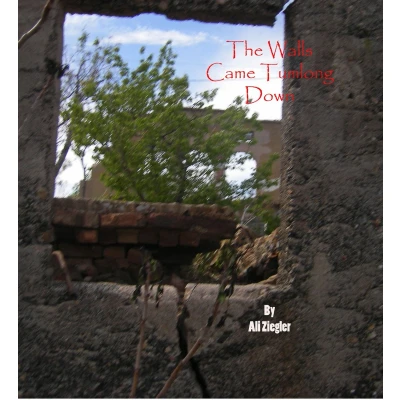 Afbeelding van The Walls Came Tumbling Down