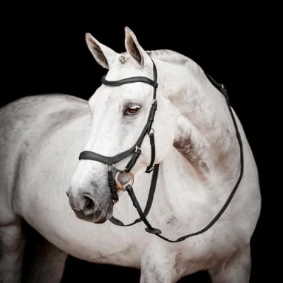 Afbeelding van Rambo Micklem Competition Bridle New Zwart Pony
