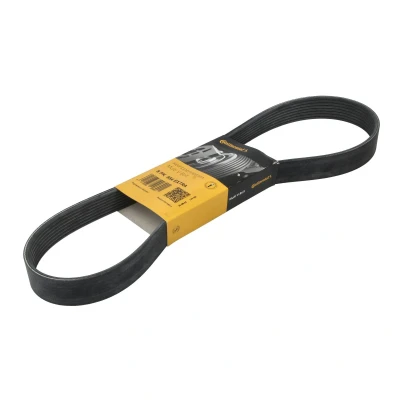Afbeelding van Contitech Poly V riem 8PK954 EXTRA