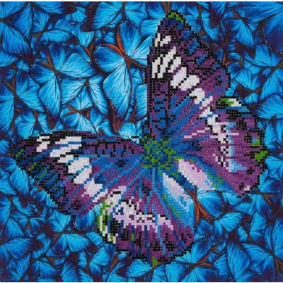 Afbeelding van DD5.017 Diamond Dotz 30,5x30,5cm Flutter by Mauve