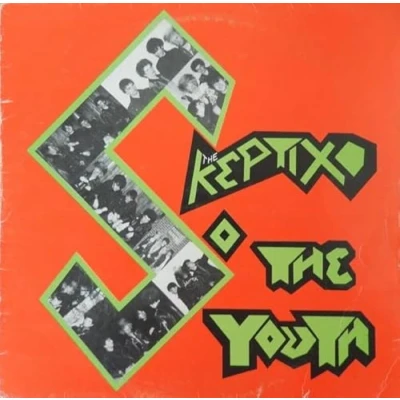 Afbeelding van Skeptix So the Youth (LP)