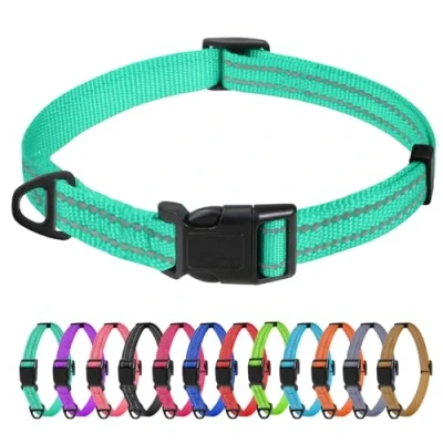 Afbeelding van TagMe Reflecterende nylon hondenhalsband, verstelbare klassieke halsband met snelsluiting gesp voor extra kleine honden, turquoise, 1,5 cm breedte