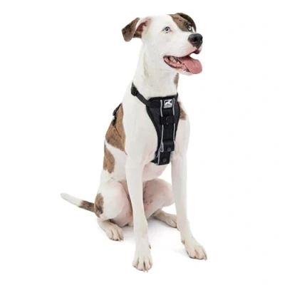 Afbeelding van Kurgo Tru Fit Smart Hondenwandelharnas, snelsluiting gespen, No Pull Trainingsclip, inclusief veiligheidsgordelband, medium zwart