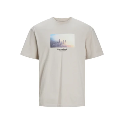 Afbeelding van Jack &amp; Jones Picture SS CREW NECK SN Tshirt print, Heren, Maat: Small, Moonbeam