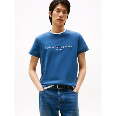 Afbeelding van Tommy Hilfiger LOGO TEE Tshirt print, Heren, Maat: XS, Aegean sea