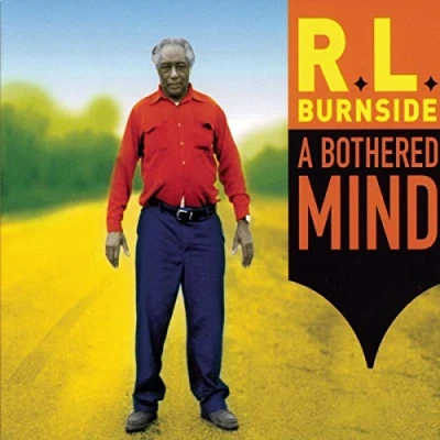 Afbeelding van A Bothered Mind