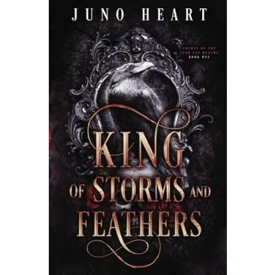 Afbeelding van King of Storms and Feathers: A Dark Fae Fantasy Romance