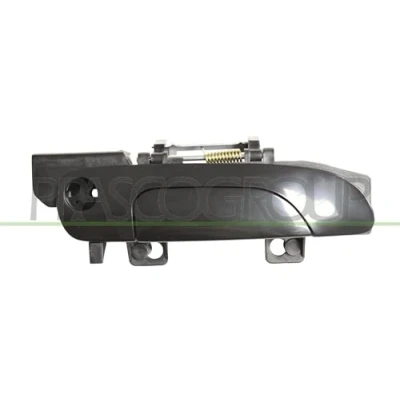 Afbeelding van Portiergreep buitenkant PRASCO FD1038007