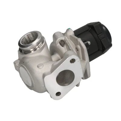 Afbeelding van EGR klep NGK 97868 EGE5 A