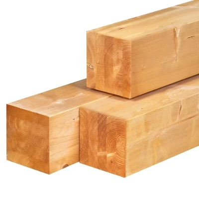 Afbeelding van Paal Red Class Wood 20,0x20,0x500 cm Tuindeco