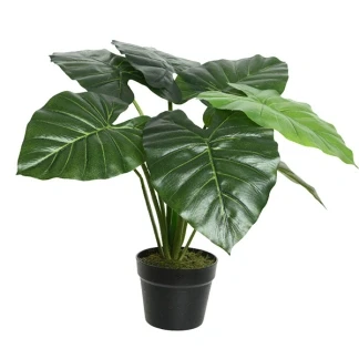 Afbeelding van Decoris Kunstplant Taro in pot kunststof 8 bladeren 69x69x52cm groen