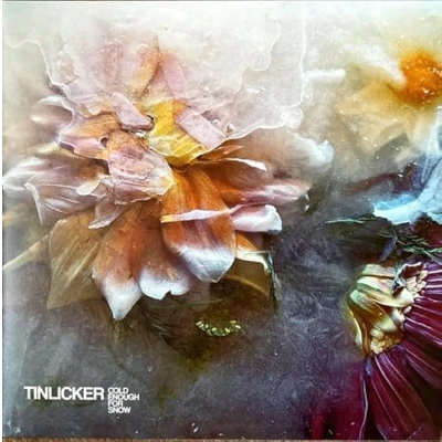 Afbeelding van Tinlicker Cold Enough For Snow (LP) (Coloured Vinyl)