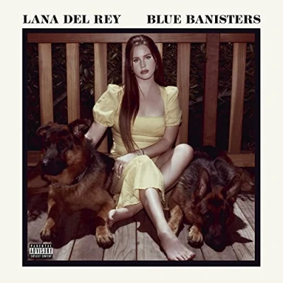 Afbeelding van Lana Del Rey Blue Banisters (2 LPs)
