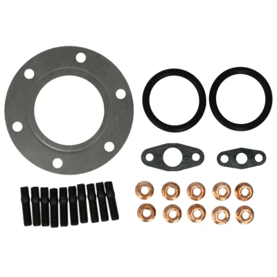 Afbeelding van Reinz Turbolader montageset 04 10054 01