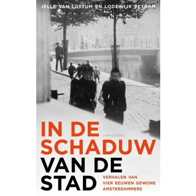 Afbeelding van In de schaduw van stad (Paperback)