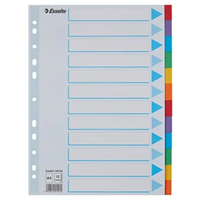 Afbeelding van Leitz Esselte tabbladen voor A4, omslag en 12 met tabs, blauw/meerkleurig, gerecycled karton, 100194