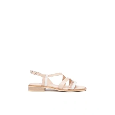 Afbeelding van NeroGiardini Women E513422D Osso Schoenmaat 40