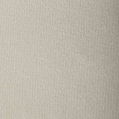 Afbeelding van Clairefontaine 93857C verpakking (met 25 vellen tekenpapier, etivalkleur, DIN A4, 21 x 29,7 cm, 160 g, korrels, ideaal voor droogtechniek en inlijsten), natuurlijk grijs