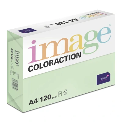Afbeelding van Kopieerpapier Forest Middelgroen A4 120 Gram 250 Vel per 5