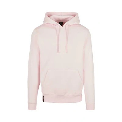 Afbeelding van Cayler &amp; Sons Plain Hoodie, Heren, Maat: XS, Pale pink