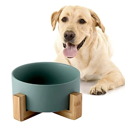 Afbeelding van SPUNKYJUNKY Hondenbak, keramiek, voederbak met bamboestandaard voor katten en honden (850 ml, groen enkns)