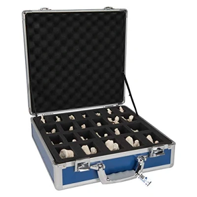 Afbeelding van BONElike wervel set, 24 delig