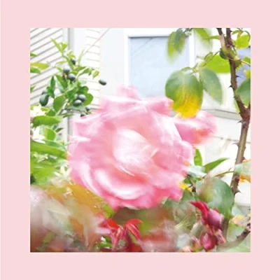 Afbeelding van Reds, Pinks &amp; Purples Summer At Land&#039;s End (CD)
