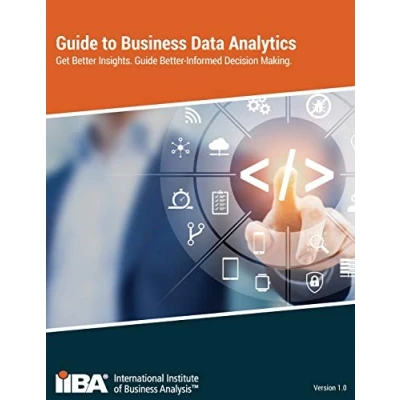 Afbeelding van Guide to Business Data Analytics