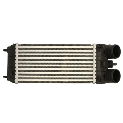 Afbeelding van Thermotec Interkoeler DAP007TT