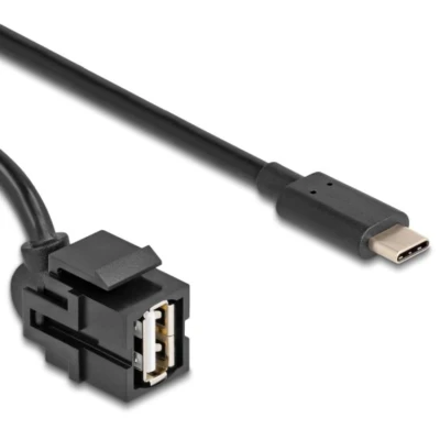 Afbeelding van Delock Keystone Modul USB 2.0 A Buchse zu Type C™ Stecker 250 mi