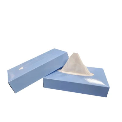 Afbeelding van Tissues voordeelverpakking 2 Laags 21x20cm 40 x 100 stuks