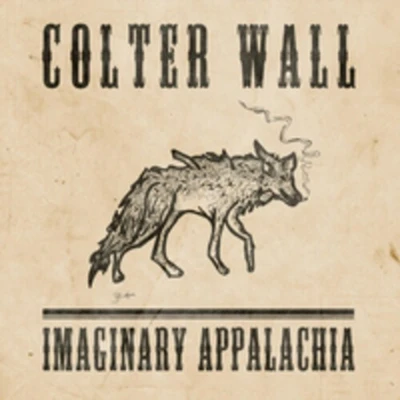 Afbeelding van Colter Wall Imaginary Appalachia (Anniversary Edition) (LP) (Coloured Vinyl)