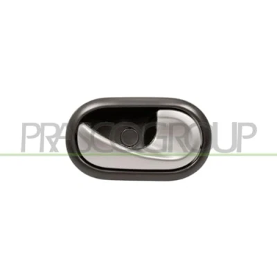 Afbeelding van Handgreep, interieur PRASCO DA2208621