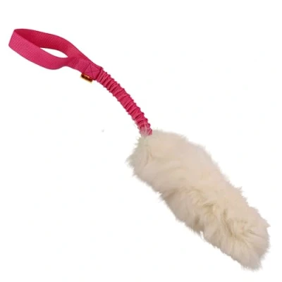 Afbeelding van DINGO Waldemar Rutkowski hondenspeelgoed schapenvacht met roze bungee, behendigheid, motivatie beloning sleepboot voor training en plezier 15580