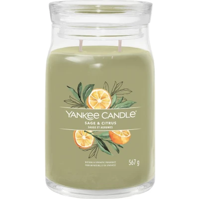 Afbeelding van Yankee Candle Geurkaars Large met 2 lonten Sage &amp; Citrus 16 cm / ø 9