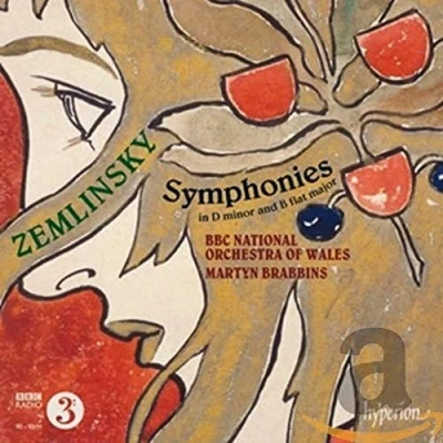 Afbeelding van BBC National Orchestra Of Wales, Martyn Brabbins Zemlinsky: Symphonies (CD)