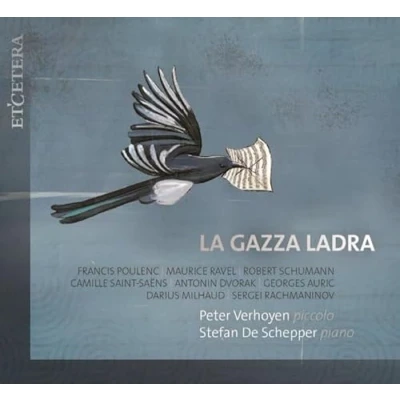 Afbeelding van Peter Verhoyen &amp; Stefan De Schepper La Gaza Ladra Piccolo Piano (CD)