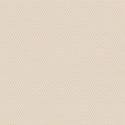 Afbeelding van Dutch Wallcoverings Tapestry TP422803 Loop Beige