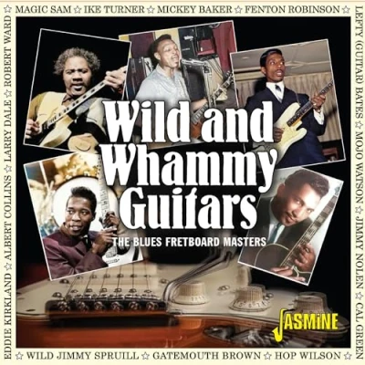 Afbeelding van Various Artists Wild And Whammy Guitars. (CD)