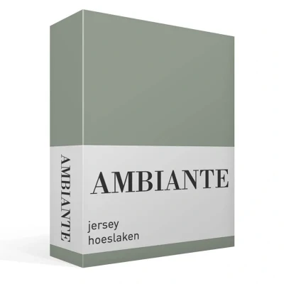 Afbeelding van Hoeslaken Lits Jumeaux 200x200 Ambiante Jersey Groen 2 Persoons