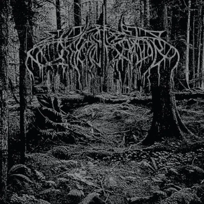 Afbeelding van Wolves In the Throne Room 2005 Demo (LP)