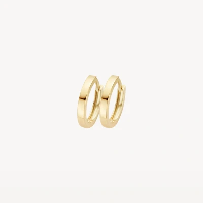 Afbeelding van Blush 7202YGO 14kt