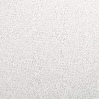 Afbeelding van Clairefontaine 90890C tekenpapier à grain (160 g, korrelig, ideaal voor droogtechnieken, 5 vellen, DIN A4, 21 x 29,7 cm) wit