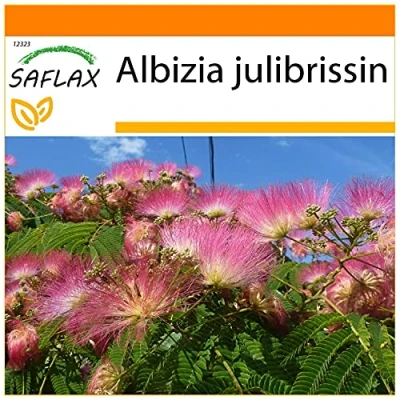 Afbeelding van SAFLAX Garden in the Bag Slapende Boom 50 Zaden Met substraat een passende staande zak Albizia julibrissin