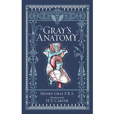 Afbeelding van Gray&#039;s Anatomy (Barnes &amp; Noble Collectible Classics: Omnibus Edition)