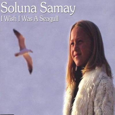Afbeelding van Soluna Samay I Wish Was A Seagull (CD)