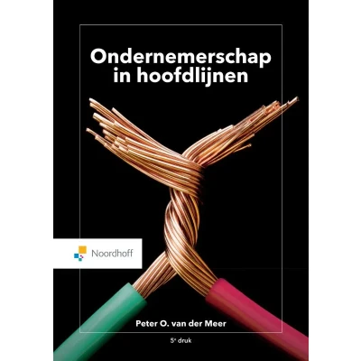 Afbeelding van Ondernemerschap in hoofdlijnen (Paperback)