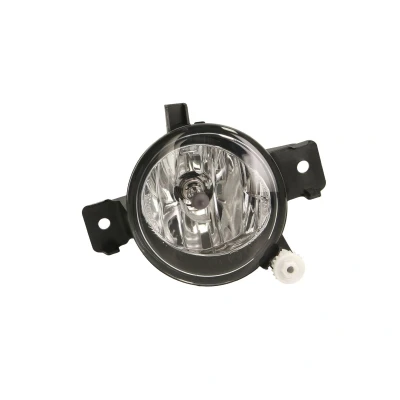 Afbeelding van Hella Mistlamp/Bochtverlichting BMW X5 (E70) Links H11 1N0 010 407 031